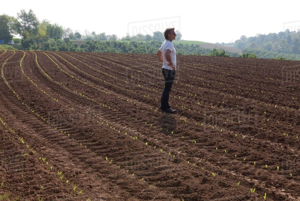 Man standing on an agricultural field Royalty-free stock photo
