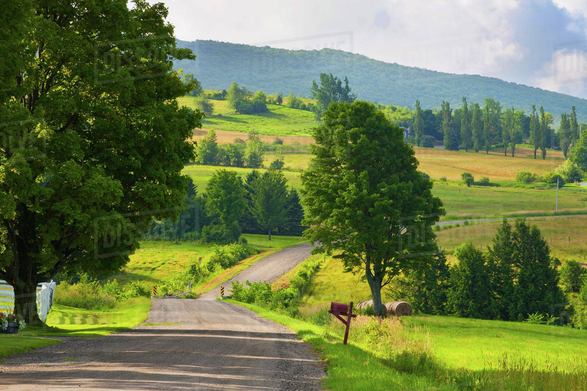 Country Road In The Early Morning Light; West Bolton, Quebec, Canada Stock Photo Dissolve